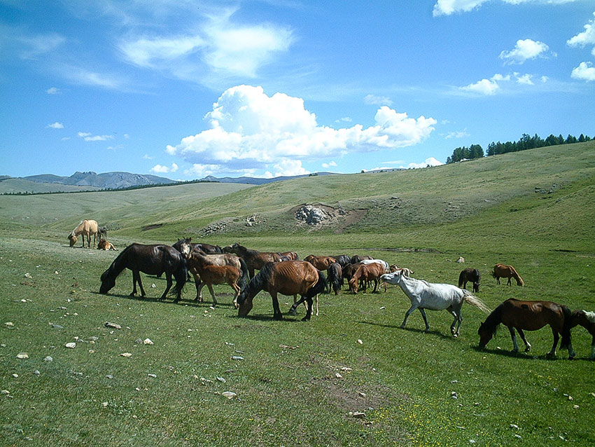 La Mongolie du Nord (19-21 jours)